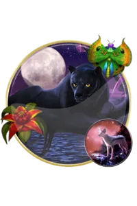 Panther Moon