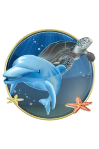 Dolphin Reef