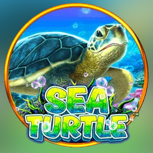Sea Turtle