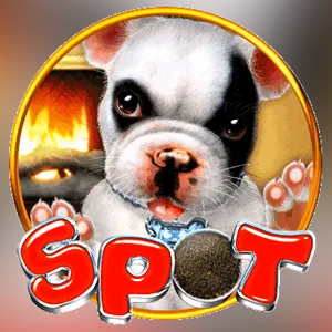 Spot