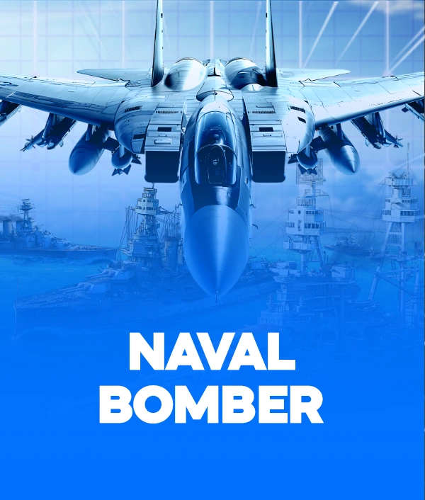 Naval Bomber