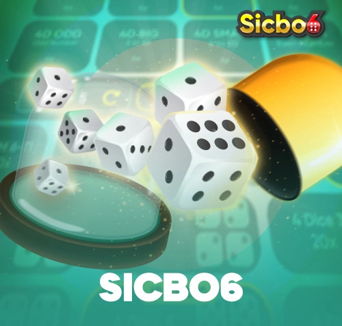 SICBO 6