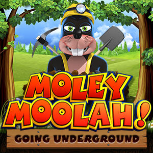 Moley Moolah