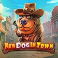 New Dog in Town